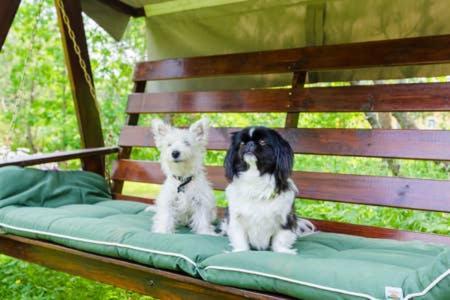 Poppelstrand Nuuksio, Pet Friendly Guest Apartment מראה חיצוני תמונה